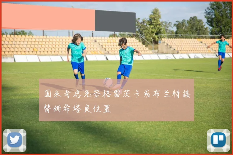 国米考虑免签格雷茨卡或布兰特接替姆希塔良位置